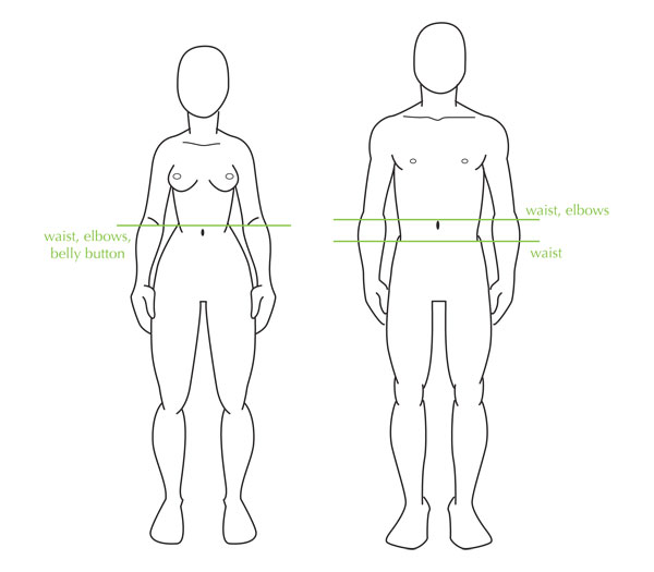 Голова ноги туловище. Схематичное изображение мужского тела. Пропорции мужского и женского тела. Мужские и женские пропорции. Схема туловища человека.